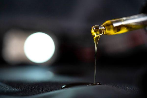 Alternatywna terapia dla kotów – Czy warto rozważyć stosowanie produktów z konopi?